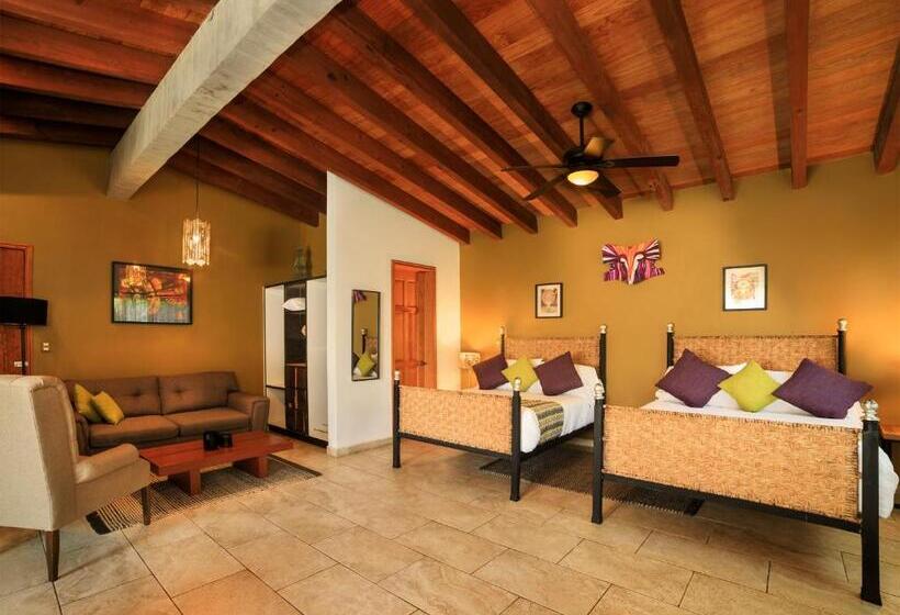 酒店 Amate Del Rio