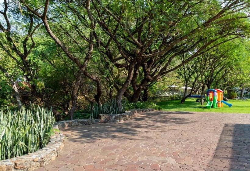 酒店 Amate Del Rio