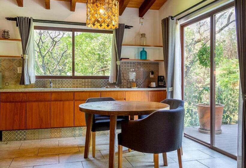 酒店 Amate Del Rio