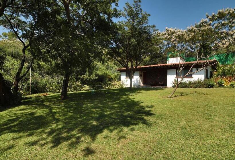 酒店 Amate Del Rio