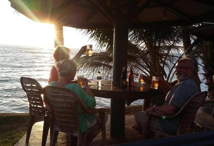 בית מלון כפרי Guesthouse Panorama