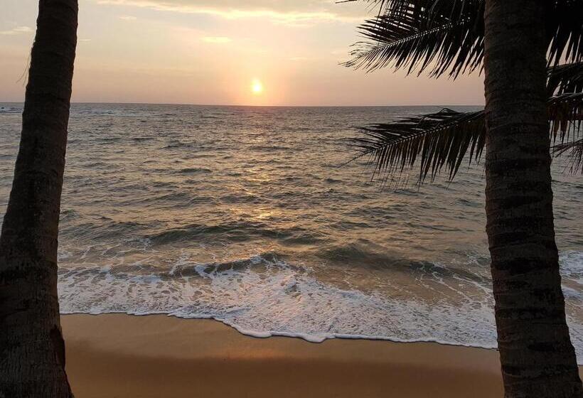 בית מלון כפרי Guesthouse Panorama