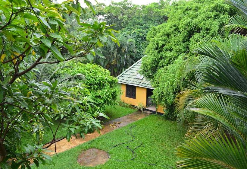 호텔 Mahaoya Green Resort