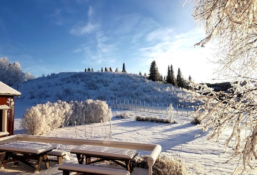 ホテル Millestgården Eco Lodge