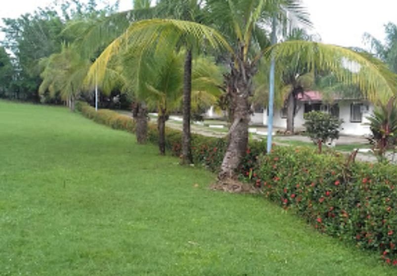 בית מלון כפרי Plaza