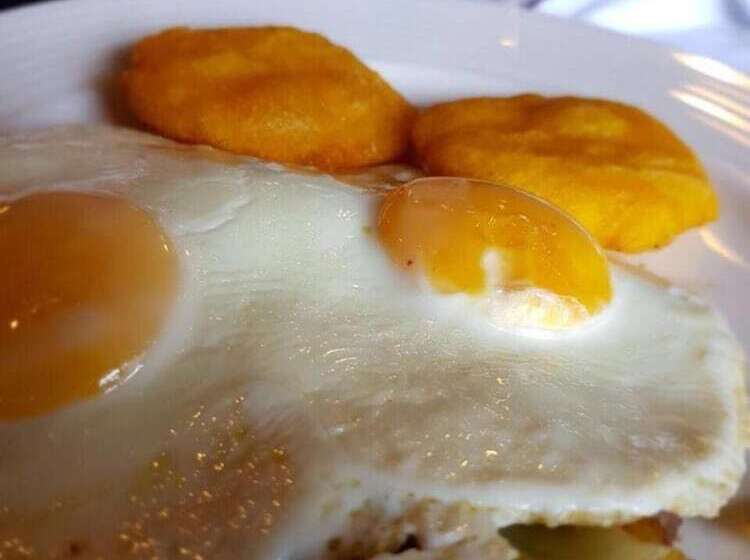 בית מלון כפרי Plaza