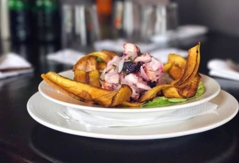 בית מלון כפרי Plaza