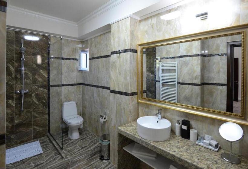 فندق The Classic