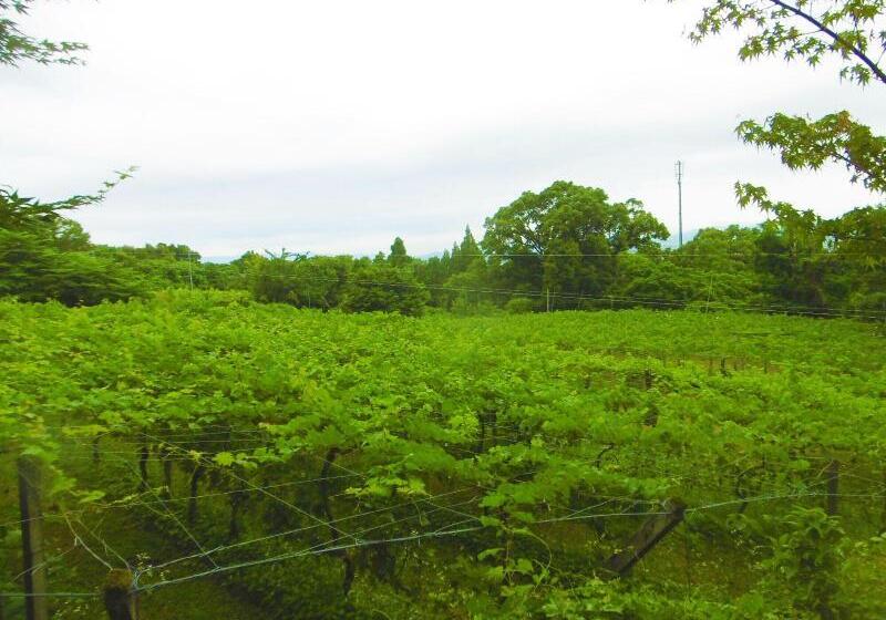 료칸 Yumoto Kobayashi