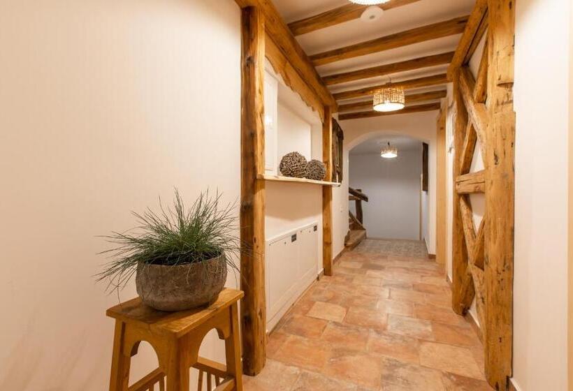 هاستل Central Bled House