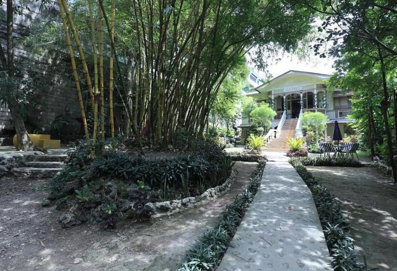 هاستل Oasis Balili Heritage Lodge