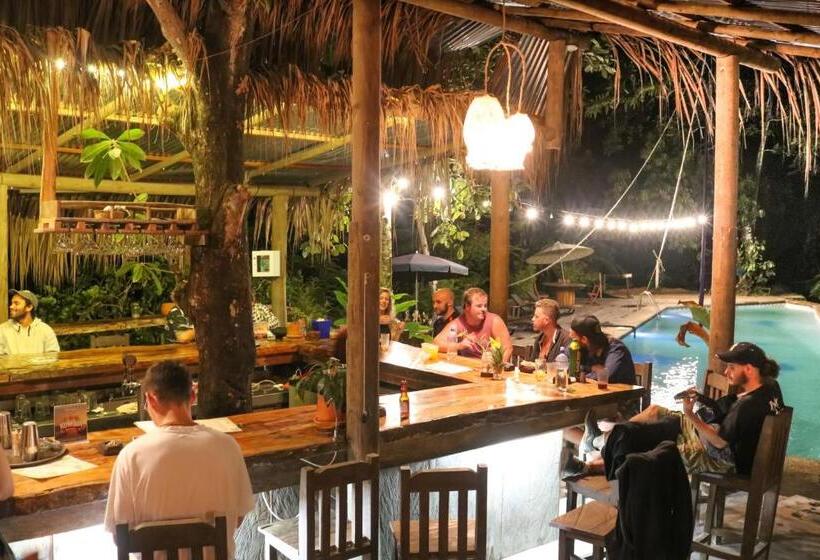 هاستل Río Elemento