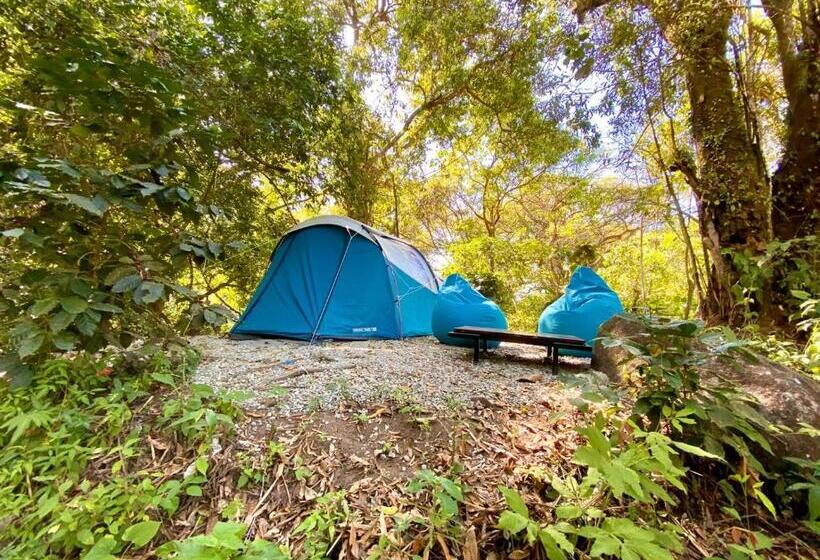 Общежитие Río Elemento