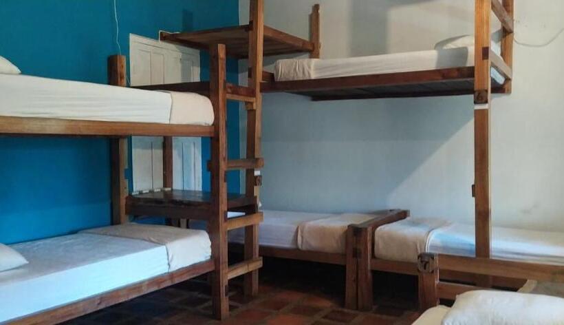 Общежитие Río Elemento