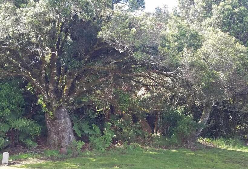 צימר Riversong