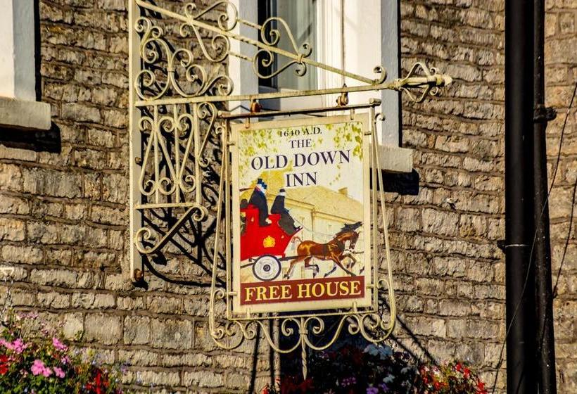 مبيت وإفطار The Old Down Inn