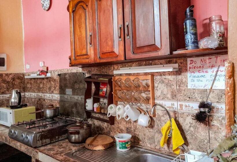 Bed and Breakfast Ugarte Street