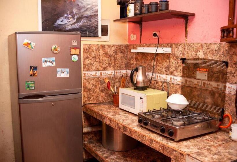 Bed and Breakfast Ugarte Street