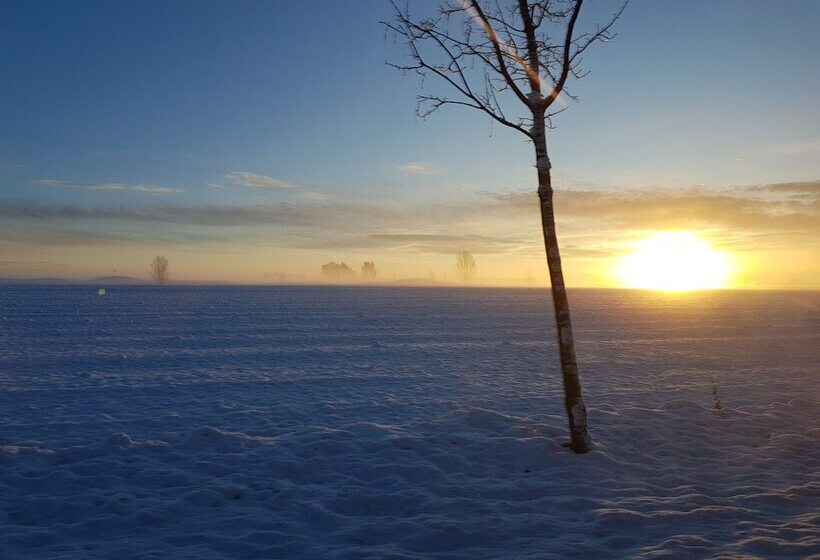 Estudio   Landhotel Sonnenfeld