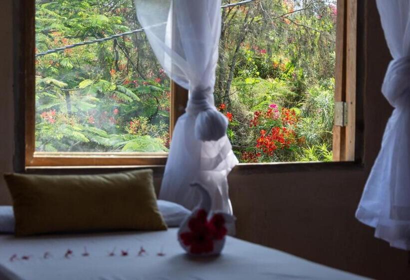 ホテル Nungwi Garden Boutique