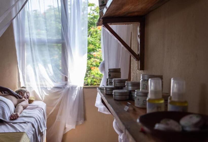 ホテル Nungwi Garden Boutique