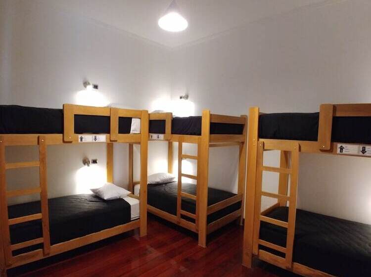 호텔 Orchid Hostels