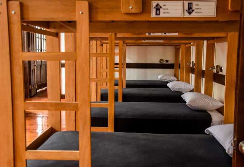 호텔 Orchid Hostels