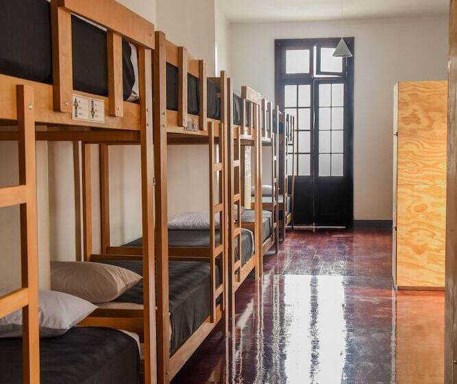 호텔 Orchid Hostels