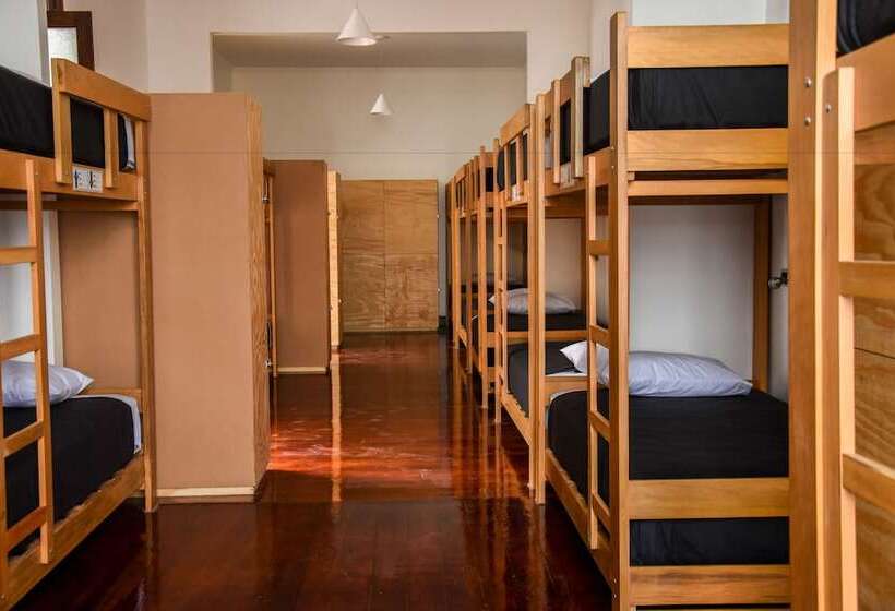 호텔 Orchid Hostels