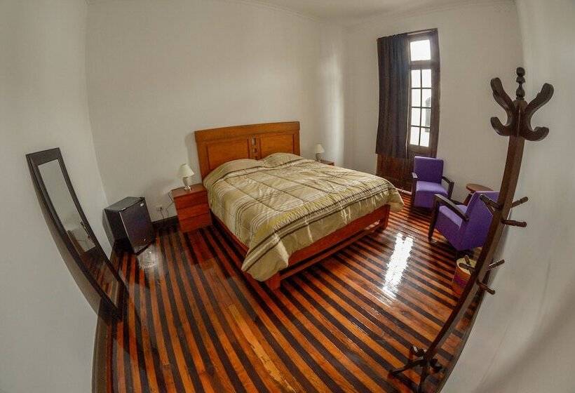 호텔 Orchid Hostels