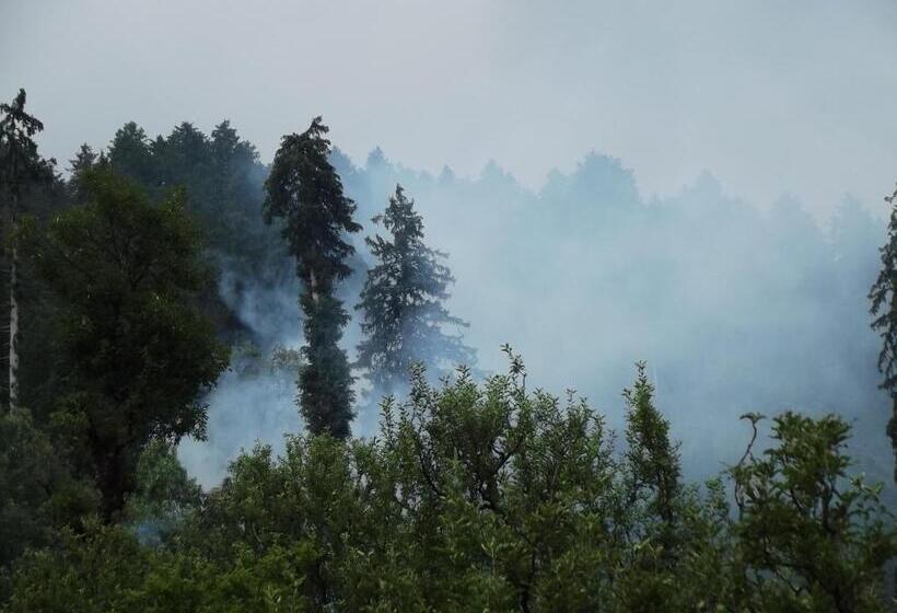 فندق Pines And Peaks