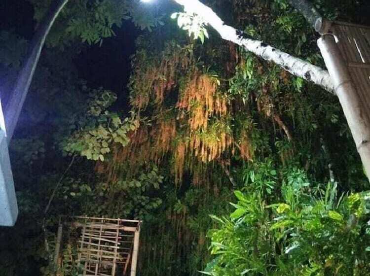 Mai Chau Mountains Hostel