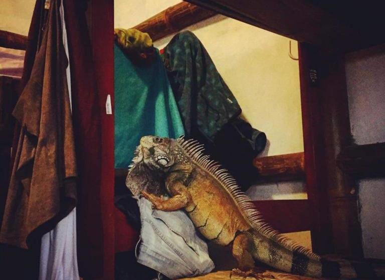 My Little House Surf&backpacker Hostel