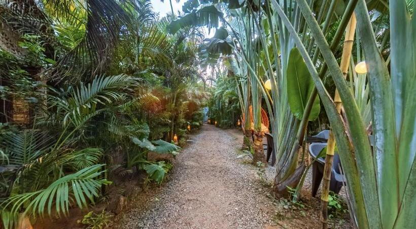 אתר נופש Cinnamon