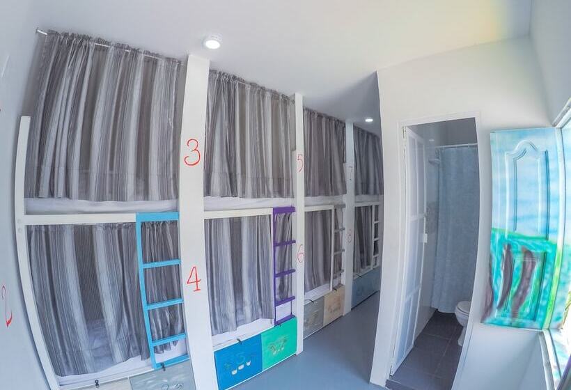 Wonderland Hostel By Gb Collection