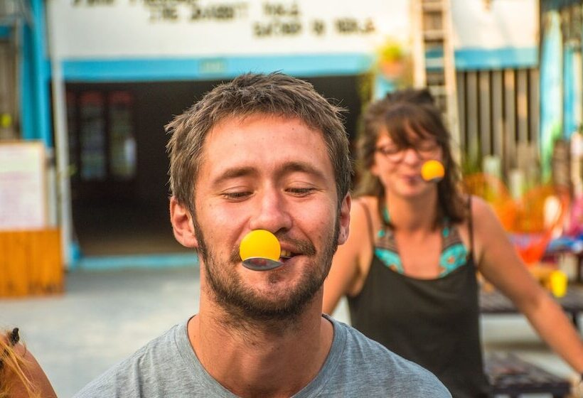 Wonderland Hostel By Gb Collection