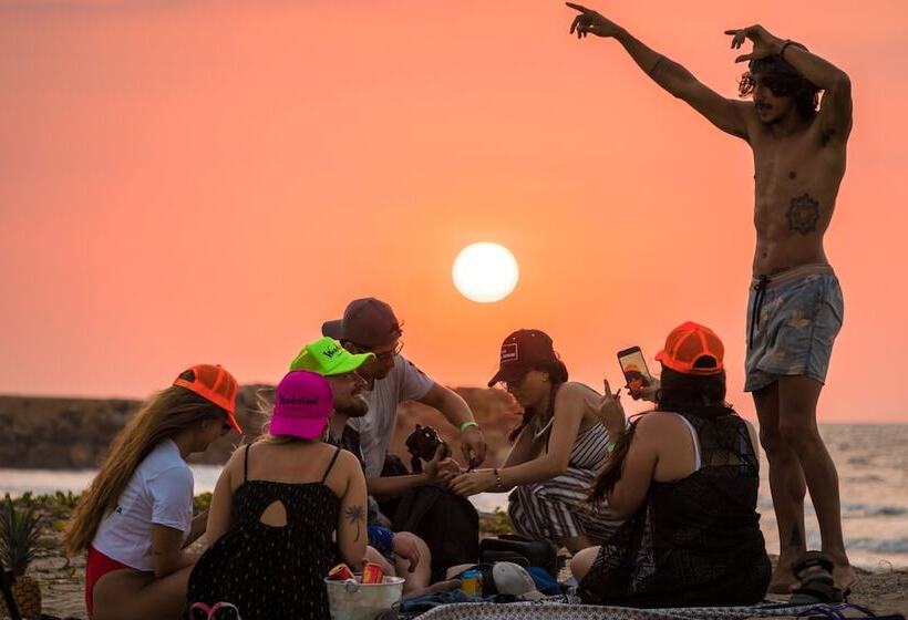 Wonderland Hostel By Gb Collection