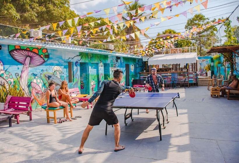 Wonderland Hostel By Gb Collection