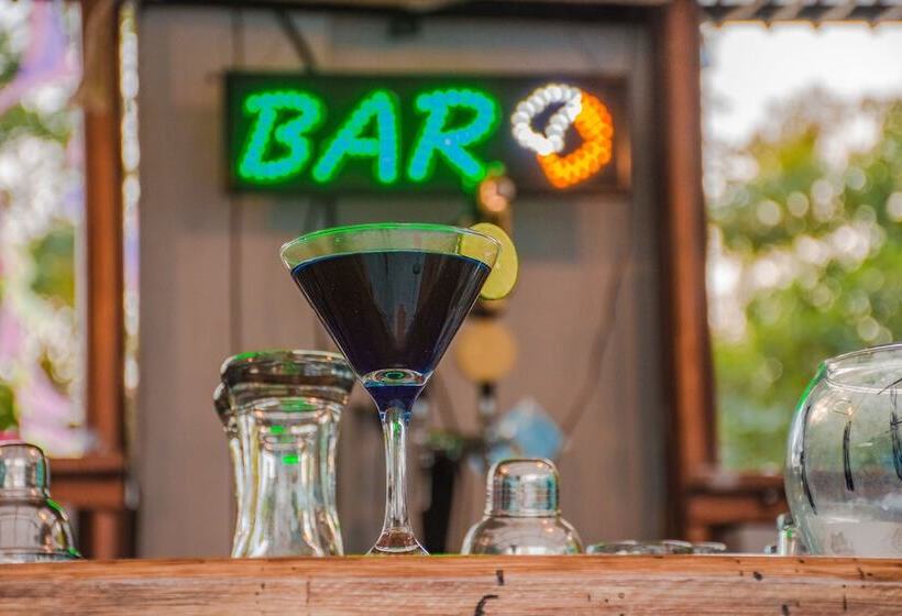 Wonderland Hostel By Gb Collection