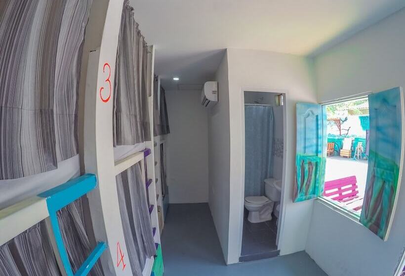 Wonderland Hostel By Gb Collection