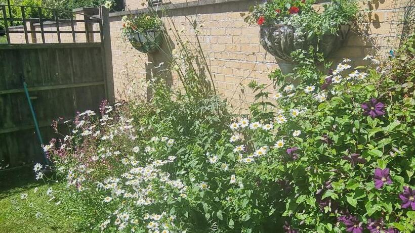 Bed and Breakfast Anchor House