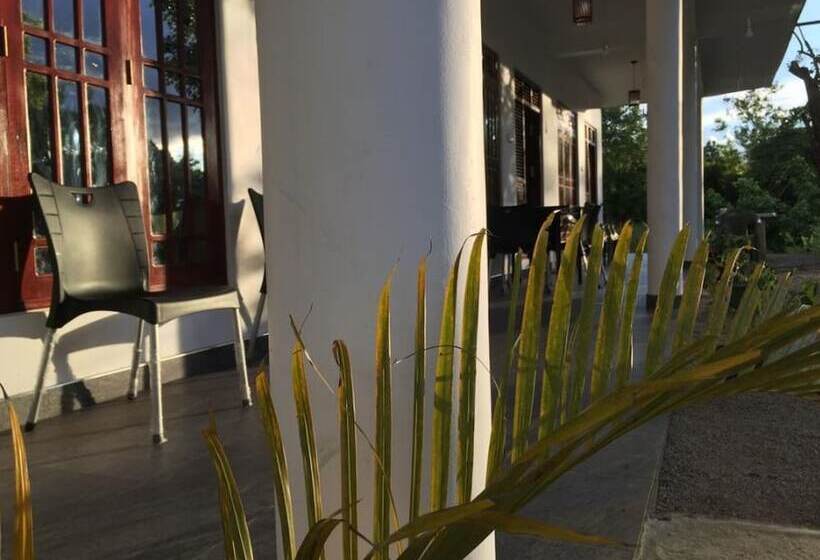 住宿加早餐  Sigiri Corridor Home Stay