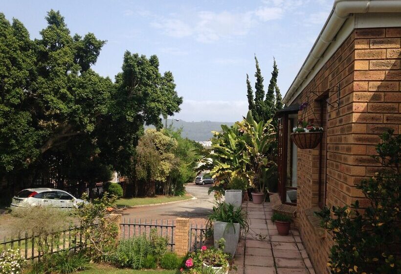 住宿加早餐  Blue Fern Of Knysna