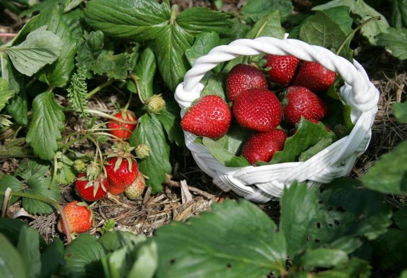 ベッドアンドブレックファースト Ferryman S Cottage