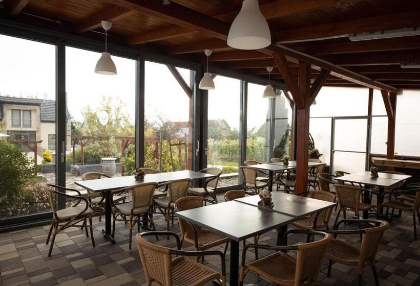 مبيت وإفطار Flamingó Panzió és Borház