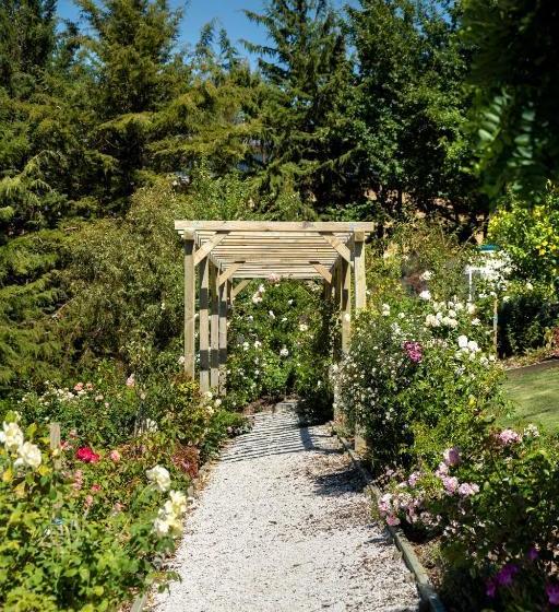 צימר Willow S Green