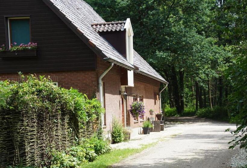 Bed & Breakfast Aan De Beek