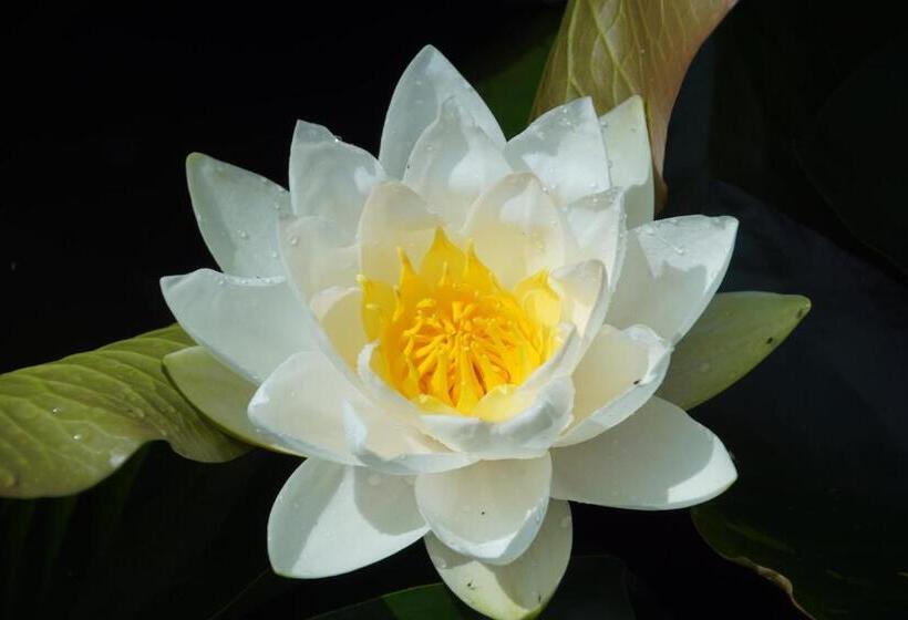 Bed & Breakfast Aan De Beek