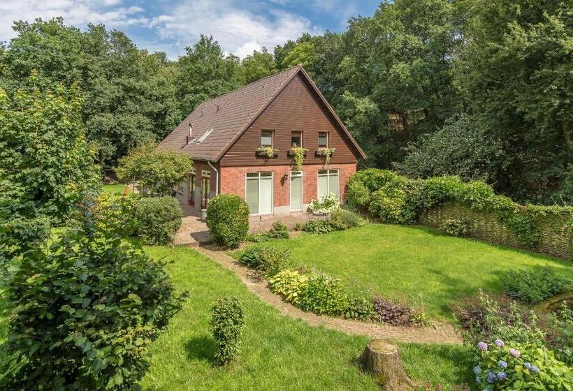 Bed & Breakfast Aan De Beek