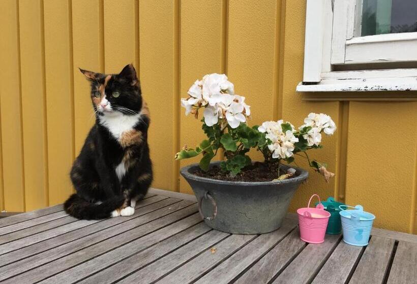 Hagaborg Bed & Breakfast